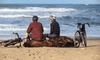 Two people facing the ocean, sitting with their gravel bikes next to them