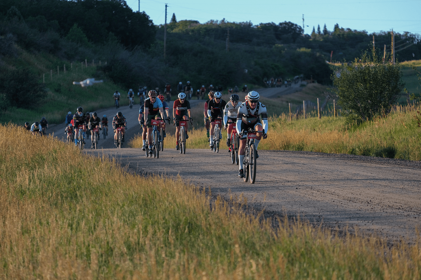 2024 SBT GRVL: Champagne Wishes - OBED Bikes