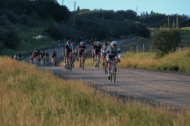 2024 SBT GRVL: Champagne Wishes - OBED Bikes