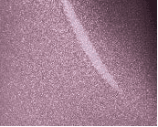 Touch Up Paint Kit - OBED Bikes