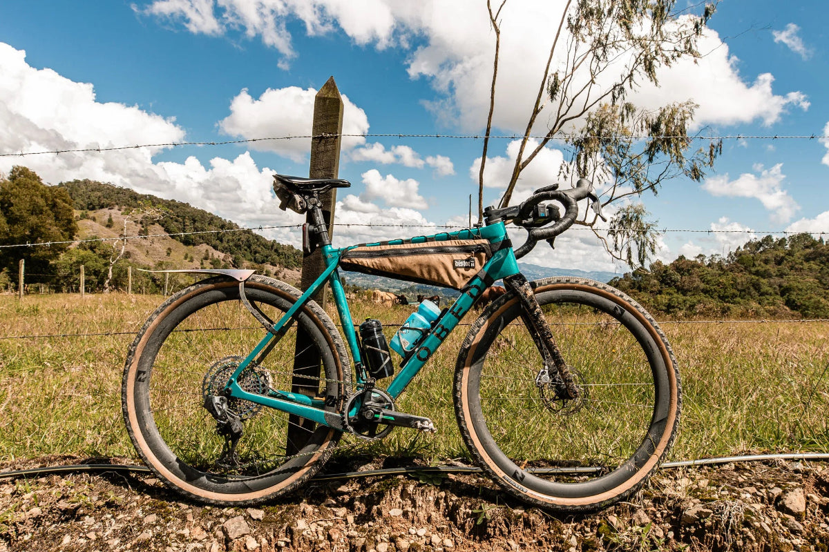 Teal bicycle leaning against a fence with a scenic background of mountains and fields.