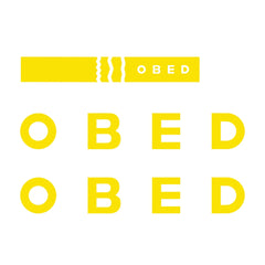 GVR Decal Set - OBED Bikes